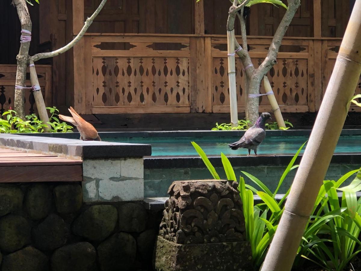 Melati Bali Homestay Чангу Екстер'єр фото