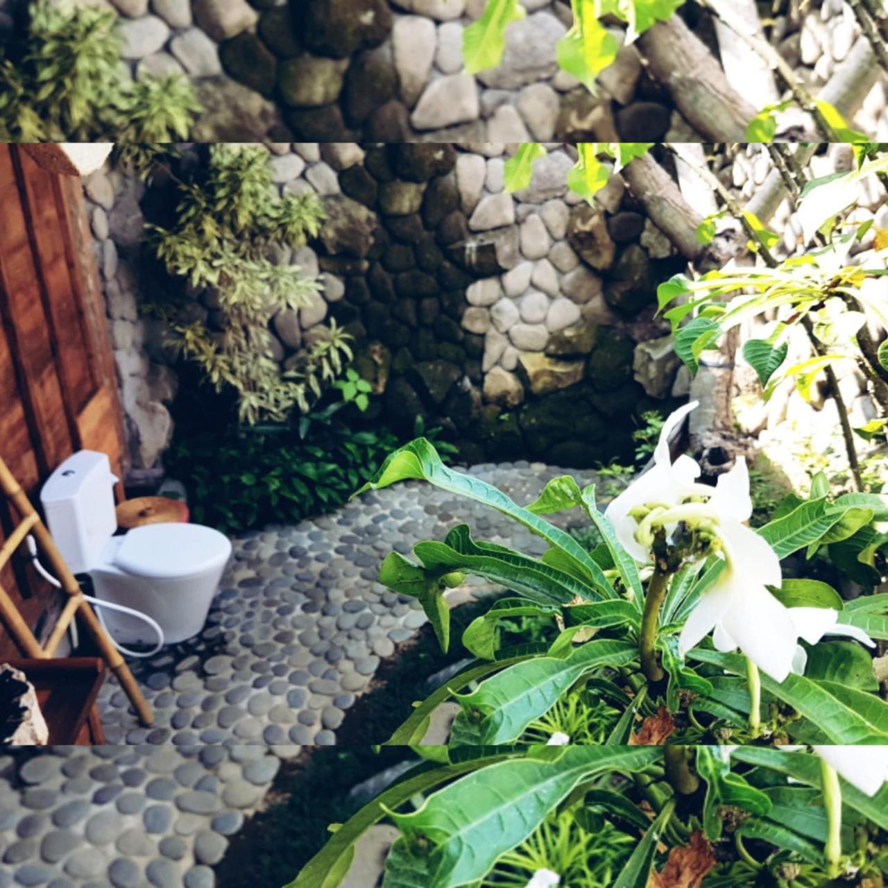 Melati Bali Homestay Чангу Екстер'єр фото